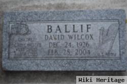 David Wilcox Ballif