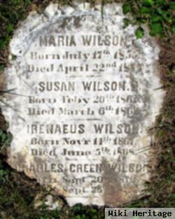 Irenaeus Wilson