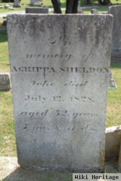 Agrippa Sheldon