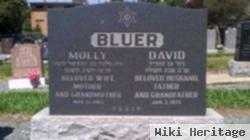 David Bluer