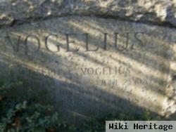 Joseph F Vogelius