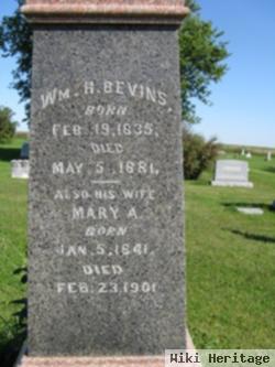 William Harry Bevins