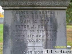 Peter J Bonte