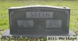 Frank Stein