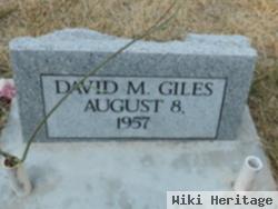 David M. Giles