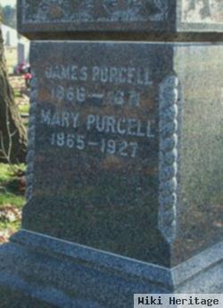 James Purcell