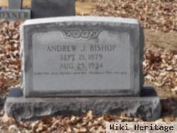 Andrew J Bishop