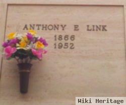 Anthony E Link