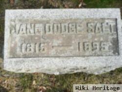 Jane Dodge Salt