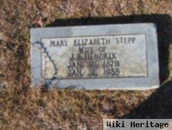 Mary Elizabeth Stepp Hendrix