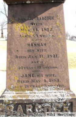 Hannah Miller Babcock