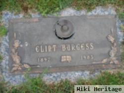 Clint Burgess