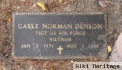 Gayle N. Denson