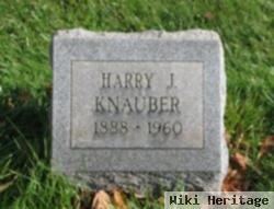 Harry Joseph Knauber