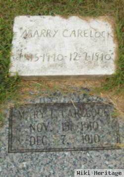 Mary L Carelock