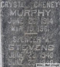 Crystal Pearl Cheney Murphy