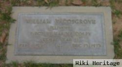 William Vincent Cosgrove