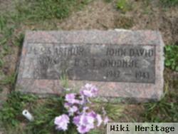 John David Goodhue