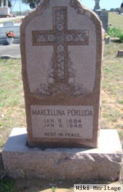 Marcellina Pokluda