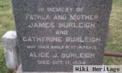 Alice J Burleigh