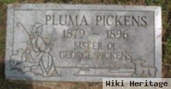 Pluma Pickens