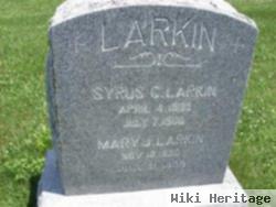 Mary J. Larkin