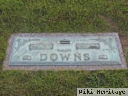 Hinton Downs