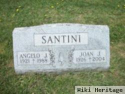 Angelo J. Santini