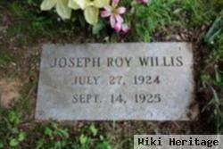 Joseph Roy Willis