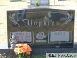 Alice S Hopkins