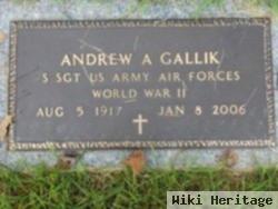 Andrew A Gallik