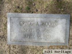 Gregg A. Woods