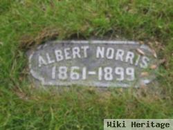 Albert Norris