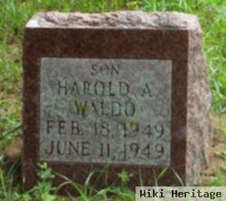 Harold A. Waldo, Jr