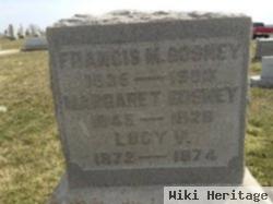 Lucy V. Gosney