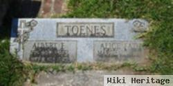 Albert F Toenes