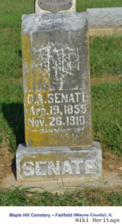 Cornelius A. "c.a. Or Neal" Senate