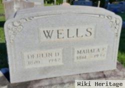 Mahala Ellen Darnell Wells