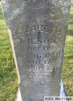 Sarah Elizabeth Burgess Wilson