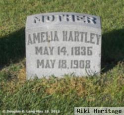 Amelia Jane Hartley