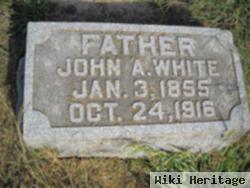 John Albert White