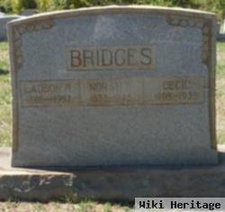 Amos Cecil Bridges