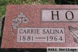 Carrie Salina Horn