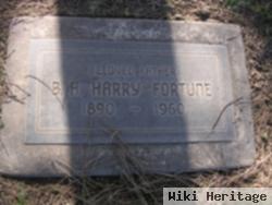 B H Harry Fortune