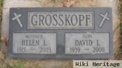 David L Grosskopf