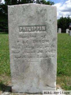 Philippin Shrum