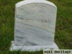 Grey Hicks