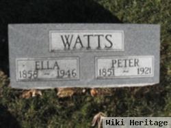 Peter H Watts
