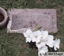 William Harvey Young