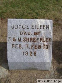 Joyce Eileen Shreffler